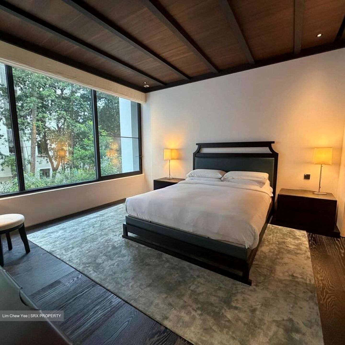21 Anderson (D10), Condominium #517359001